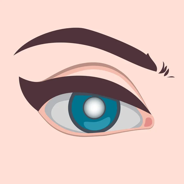 Ilustración de vectores de enfermedades oculares, cataratas de glaucoma y enfermedades oculares saludables y problemas de nefropatía — Vector de stock