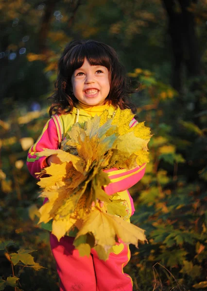 Menina no parque de outono — Fotografia de Stock