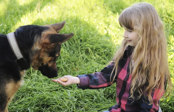 Маленька дівчинка грає з собакою в парку — стокове фото