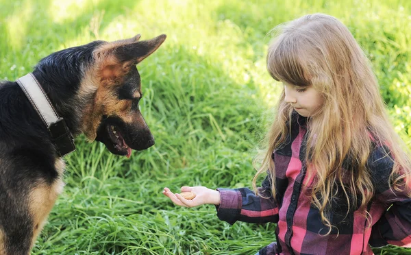 Маленькая девочка играет с собакой — стоковое фото