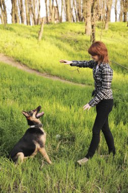 genç bir kadın onu köpek eğitimi