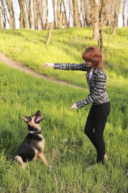 genç bir kadın onu köpek eğitimi