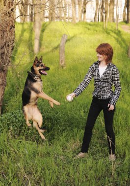 genç bir kadın onu köpek eğitimi