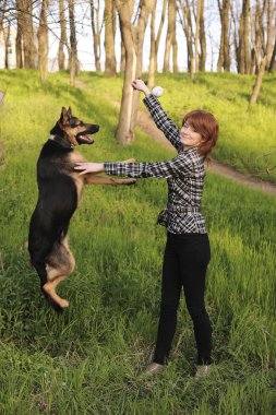genç bir kadın onu köpek eğitimi