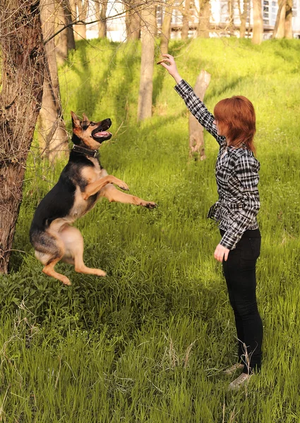 Junge Frau trainiert ihren Hund — Stockfoto