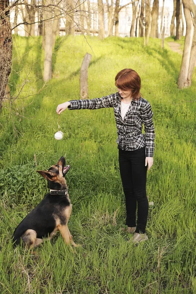 Молода жінка тренує свого собаку — стокове фото