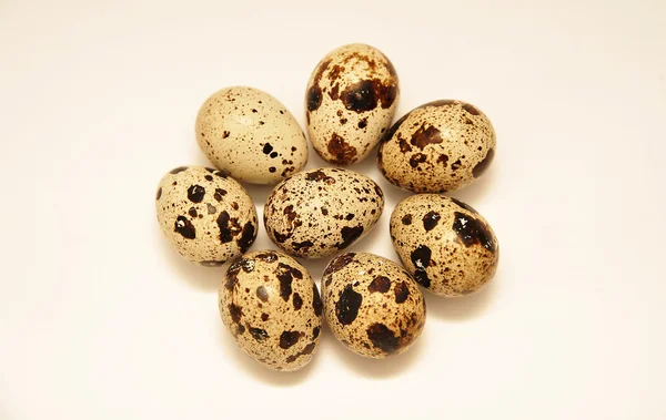 Jaja przepiórcze izolowane na białym tle — Zdjęcie stockowe