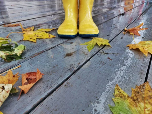 Yellow rubber shoes in puddle after raining. Falling leaves. Autumn season concept.