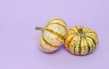 Mutlu Cadılar Bayramı. Mor arkaplanda balkabakları, Düşen arkaplan.