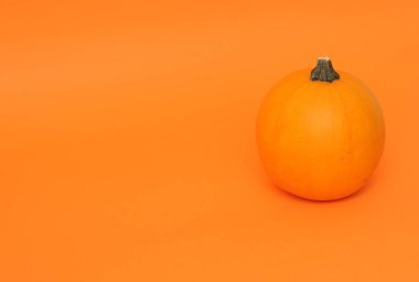 Mutlu Cadılar Bayramı. Mor arkaplanda balkabakları, Düşen arkaplan.