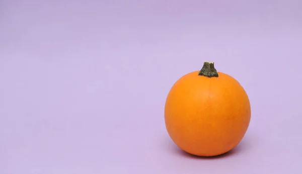 Feliz Halloween Calabazas Sobre Fondo Violeta Fondo Descendente — Foto de Stock