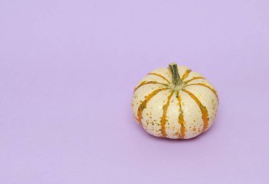 Renkli arkaplanda balkabakları, Düşen arkaplan.