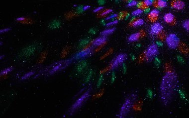 Moda holografik folyonun bulanık dokusu.