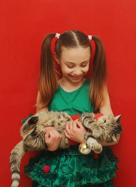 Dívka Drží Kočku Vánoční Svetr Červeném Pozadí — Stock fotografie