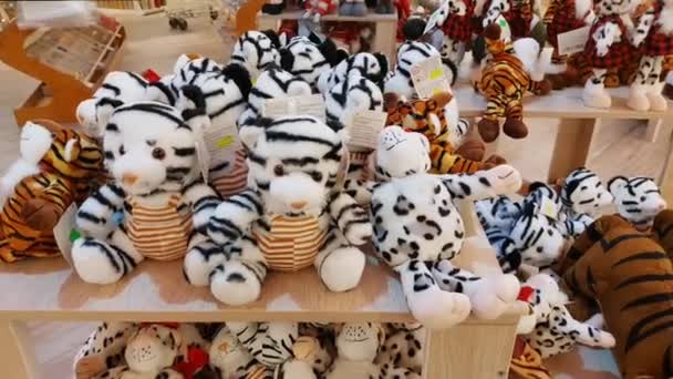 Nikolajev Ukraina December 2021 Julpynt Butiken Epicenter Tigrar Symbolen För — Stockvideo