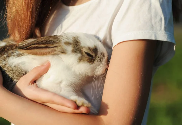 Little Girl Hugs Rabbit Friendship Care Animals Easter Symbol — стоковое фото