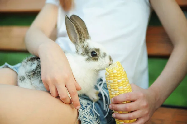 Küçük Kız Bir Tavşana Sarılıyor Hayvanların Dostluğu Bakımı Paskalya Sembolü — Stok fotoğraf