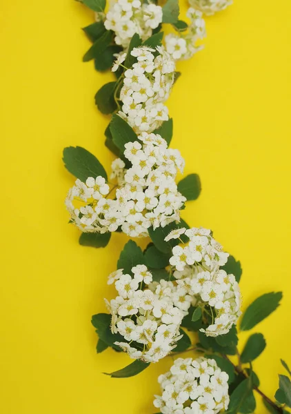 Bouquet White Flowers Yellow Background — Stock Fotó