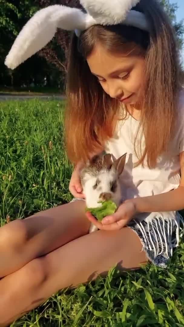 Маленькая Девочка Играет Кроликом Открытом Воздухе — стоковое видео