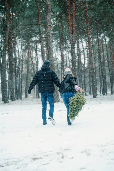 Kobieta Mężczyzna Spacerujący Zimowym Lesie Szczęśliwa Para Gospodarstwa Sosna Zabawy — Zdjęcie stockowe