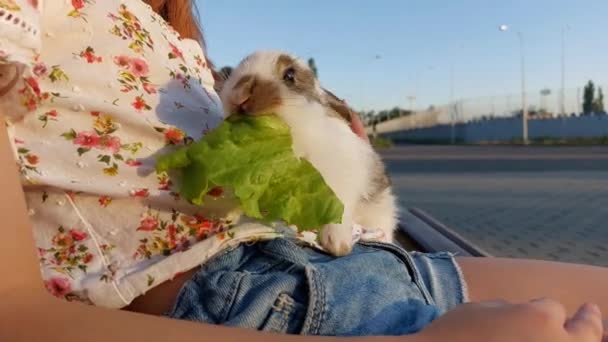 Enfant Avec Petit Lapin Sur Herbe Symbole Pâques Amitié Entre — Video