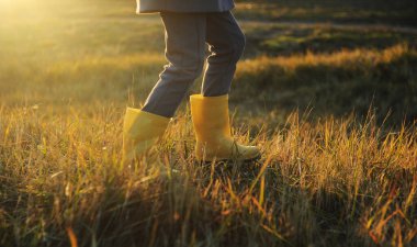 Çocuklarla ilgili saçma bir kavram. Sonbahar ormanı.