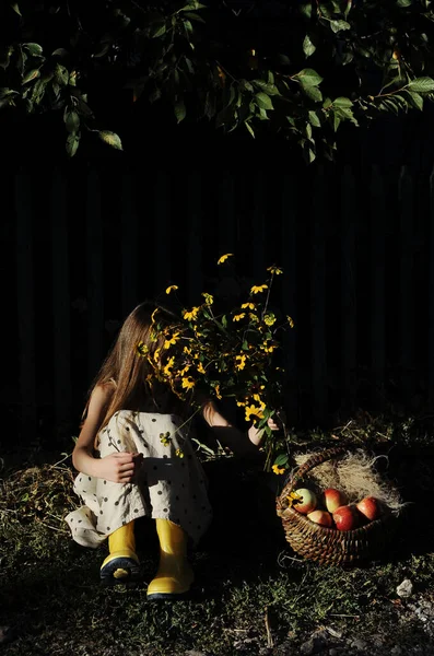 Дитина Тримає Повне Здорових Яблук Концепція Осіннього Врожаю — стокове фото