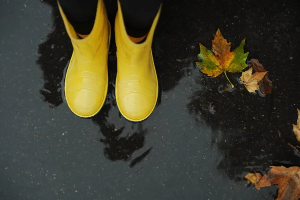Yellow rubber shoes in puddle after raining. Falling leaves. Autumn season concept.