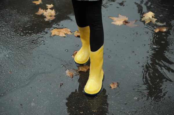 Yellow rubber shoes in puddle after raining. Falling leaves. Autumn season concept.