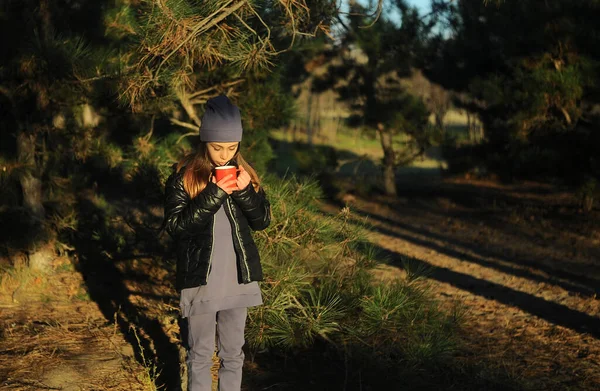 Дівчина Фіолетовому Костюмі Капелюсі Проходить Через Ліс Чай Концепція Подорожей — стокове фото