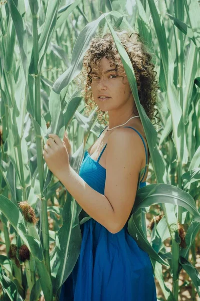 Beautiful Curly Haired Woman Green Leaves Corn Field Sunny Day — Stockfoto