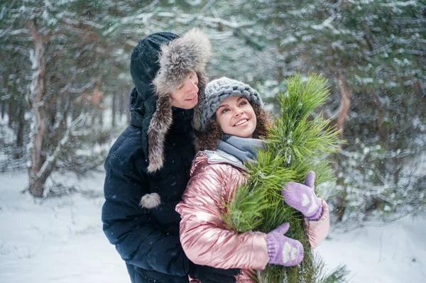 Young Beautiful Couple Winter Forest Happy Couple Has Fun Snow — Foto Stock