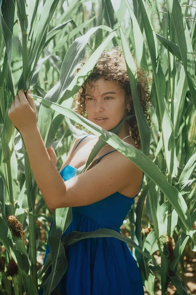 beautiful curly haired woman with green leaves in a corn field on a sunny day