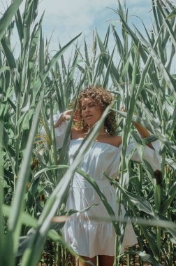 woman with green leaves in a corn field on a sunny day