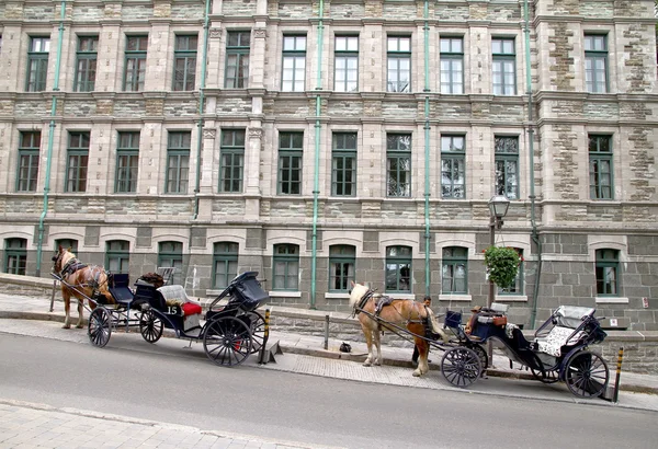 Carrozza trainata da cavalli — Foto Stock