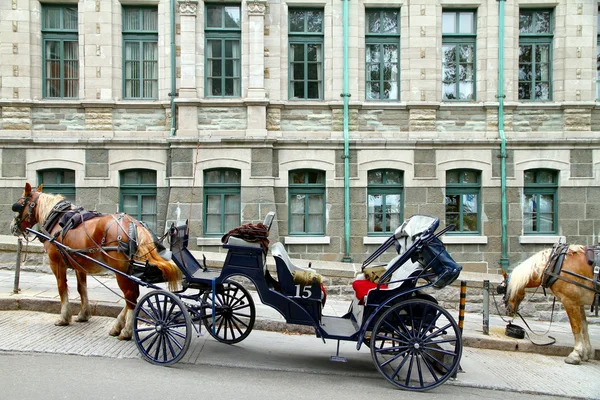 Horse-drawn Carriage — Stock Photo, Image