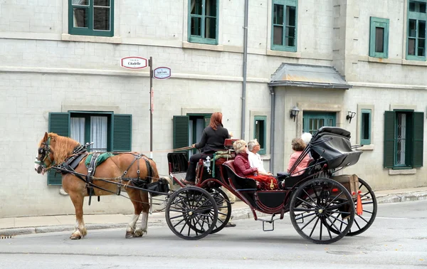 Transporte puxado a cavalo — Fotografia de Stock