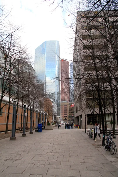 Downtown toronto skyskrapor — Stockfoto