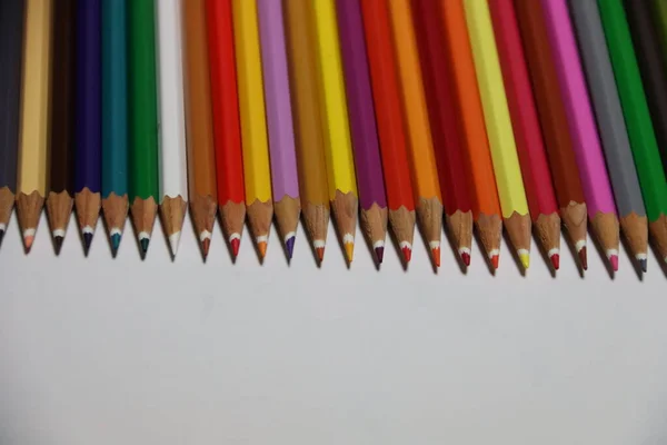 Jolies Crayons Couleur Avec Différentes Couleurs — Photo