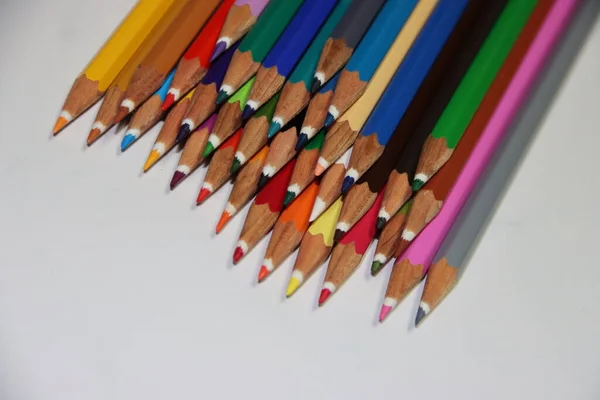 Pretty Colored Pencils Various Colors — Stock Photo, Image