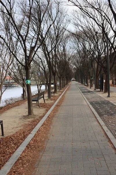 Beautiful Road Walk — Stock Photo, Image