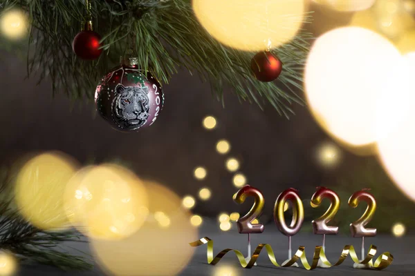 2022 Símbolo Del Año Del Tigre Según Calendario Lunar Chino — Foto de Stock
