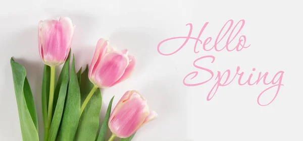Bahar Arkaplanı Lalelerin Bahar Kompozisyonu Beyaz Arkaplanda Hello Spring Yazısı — Stok fotoğraf