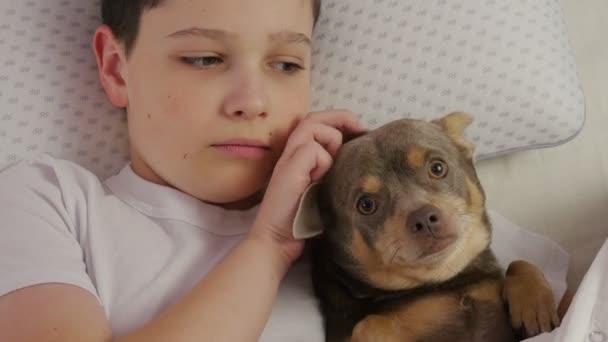 Ο μικρός και ο σκύλος ξάπλωσαν στο κρεβάτι. Συναισθήματα ευτυχίας και χαράς. ζωντανό στυλ. 4K — Αρχείο Βίντεο