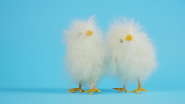 Dwa kurczaki na niebieskim tle. Projekt na Wielkanoc. Wielkanoc i kurczak — Wideo stockowe