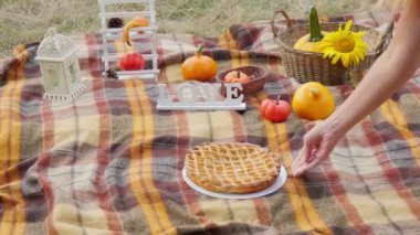 Thanksgiving Day. Pumpkin pie. Pumpkins in a basket and sunflowers lie on a plaid. Picnic. Basket with pumpkins