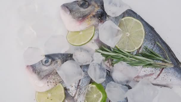 Риба Дорадо Сира Риба Дорадо Льоду Спеціями Дорадо Свіжої Риби — стокове відео