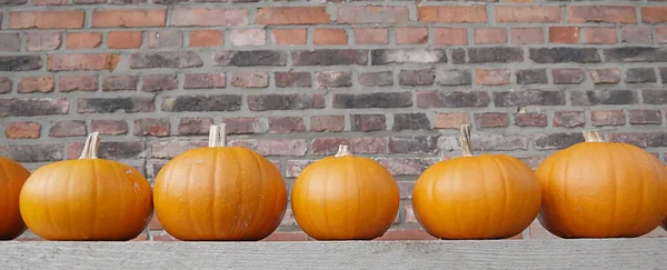 Autumn background. pumpkins. Thanksgiving background. Pumpkins for Thanksgiving.