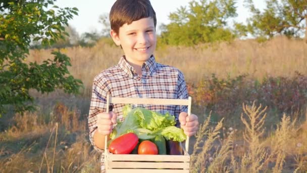 Niño Sonriente Está Pie Con Una Caja Verduras Campo Cosecha — Vídeo de stock