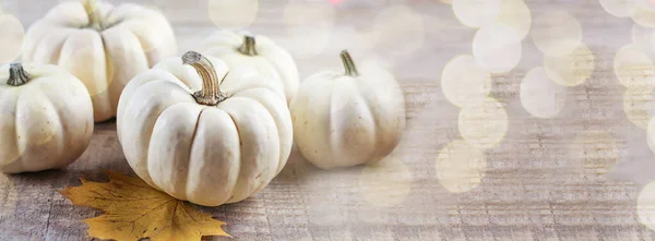 Pumpkin white on a wooden background. Pumpkins. bokeh. Thanksgiving Day. Banner. copy space